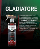 Descontaminante Ferroso Gladiatore Dettagli 500ml 